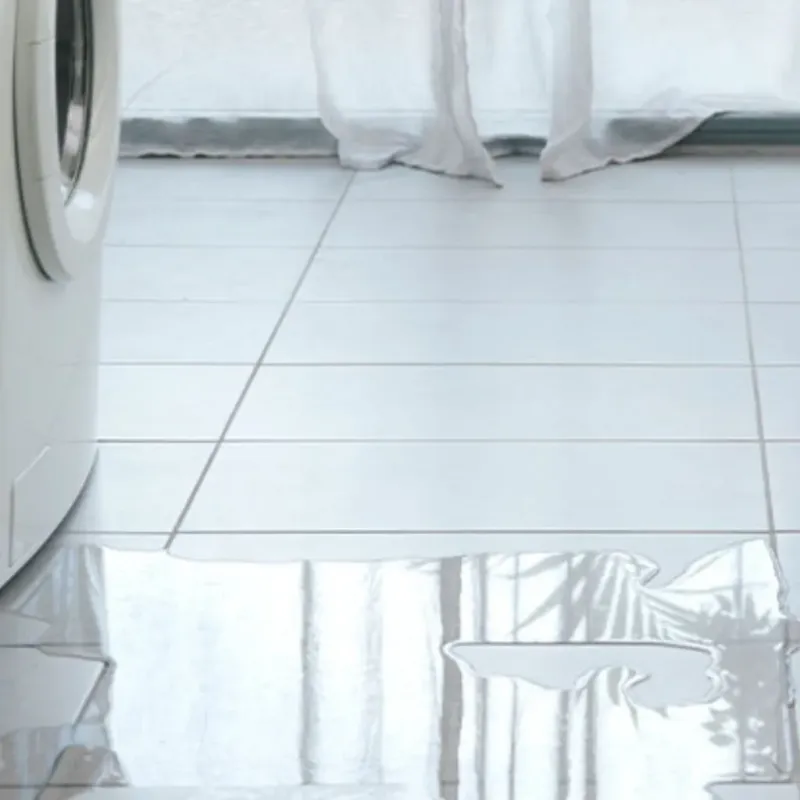 Appliance Leak Cleanup in Laguna Park, TX