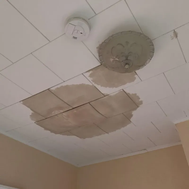 Ceiling Water Damage Repair in Laguna Park, TX