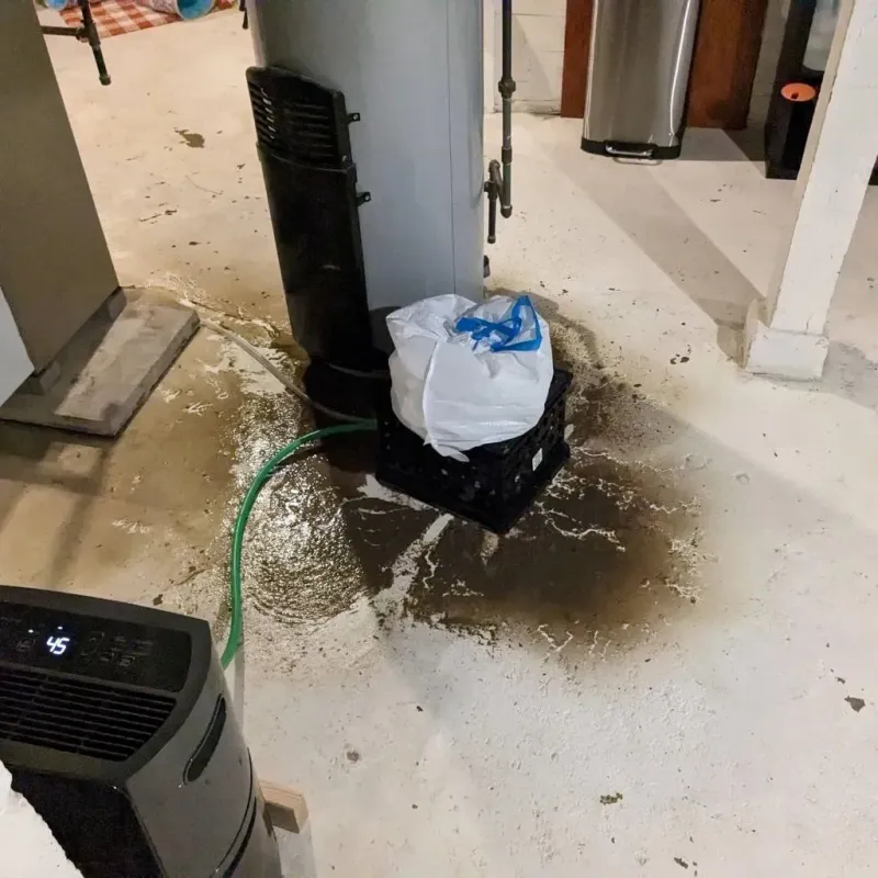 Sewage Backup Cleanup Service in Laguna Park, TX